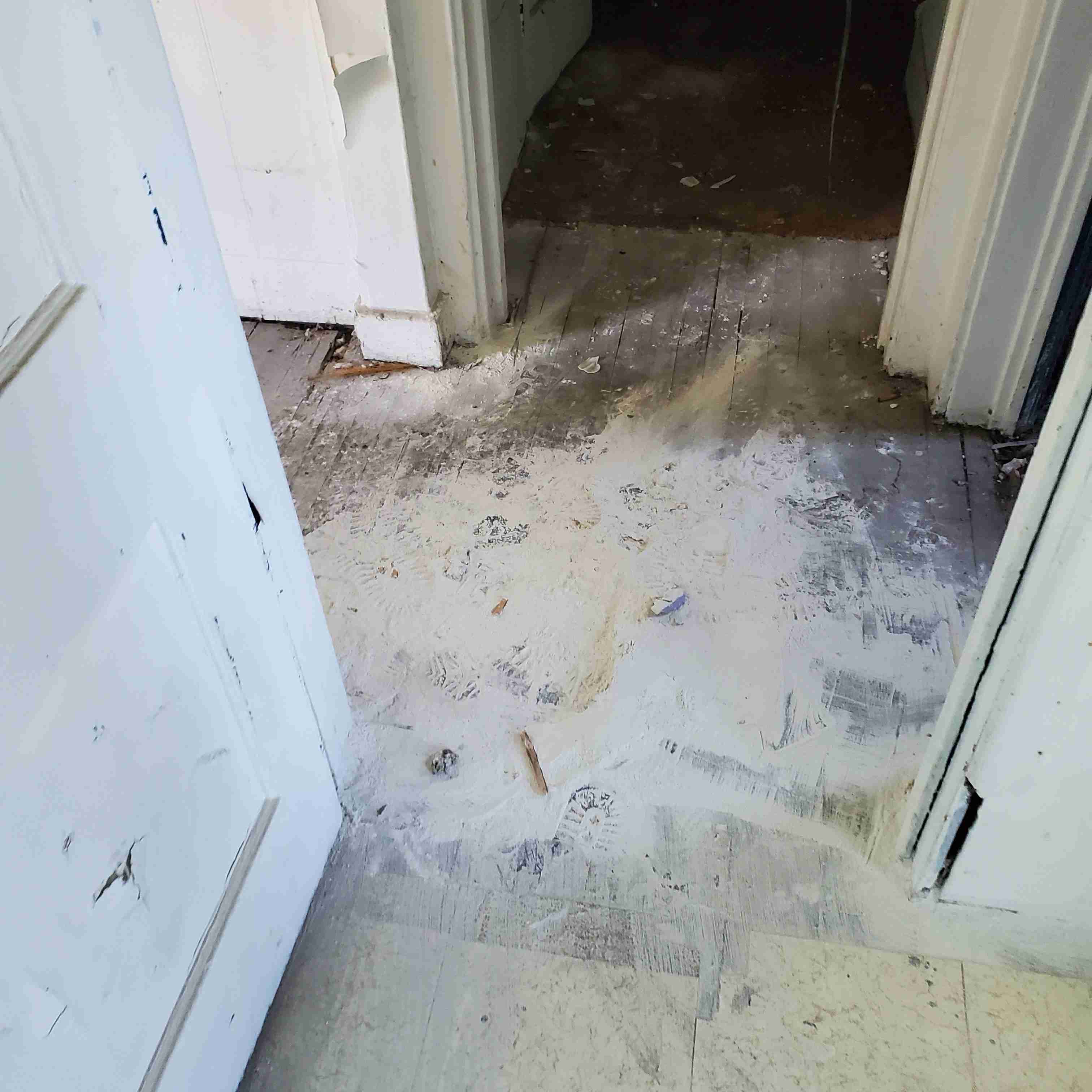 20200812_154433 (2).jpg